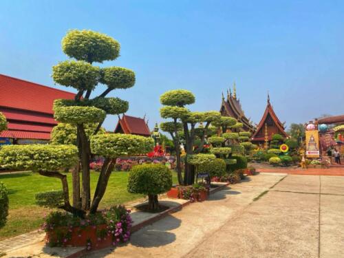 Wat Sawang Hua Na Kham - Kalasin Temples
