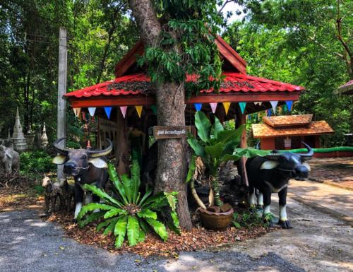 Wat Tham Chao Phu Kha - Sakon Nakhon