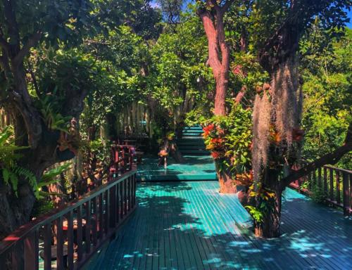 Thailand Temple Garden