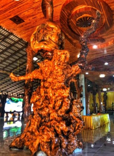 Thailand Temple Trees