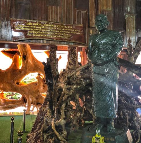 Thailand Sacred Trees