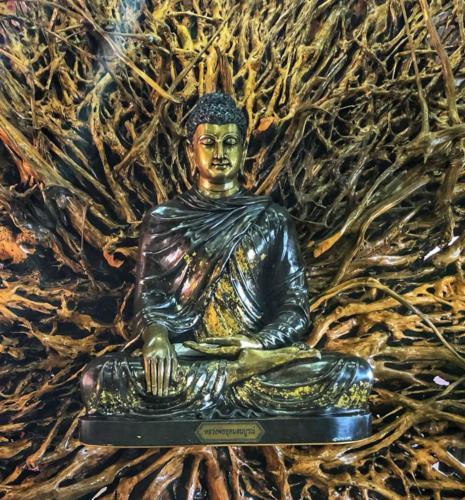 Thailand Buddha Tree Art