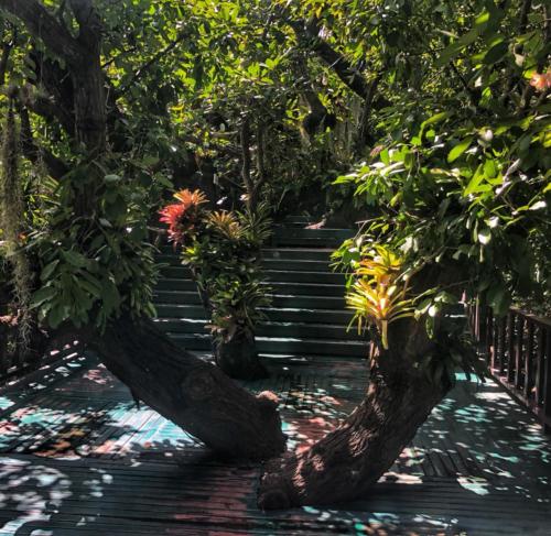 Thailand Gardens