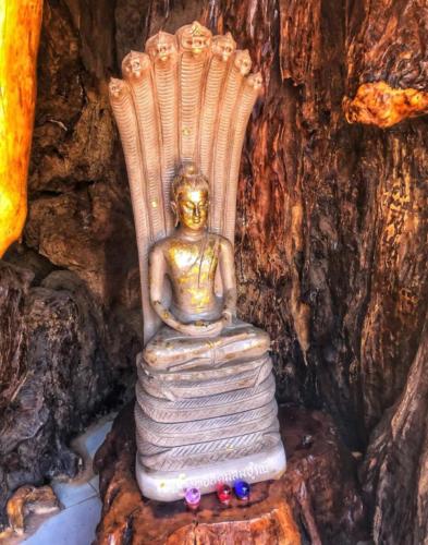 Wat Tham Pha Daen Naga Protecting Buddha
