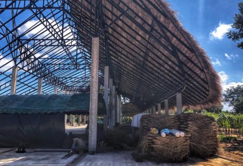 Wat Tham Pha Daen New Construction