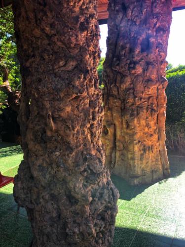 Wat Tham Pha Daen Pillars