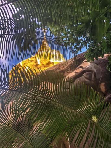 Wat Tham Pha Daen Reclining Buddha Face