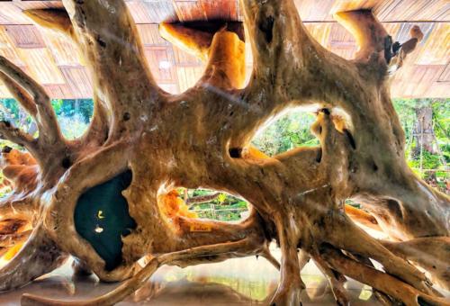 Wat Tham Pha Daen Tree Art