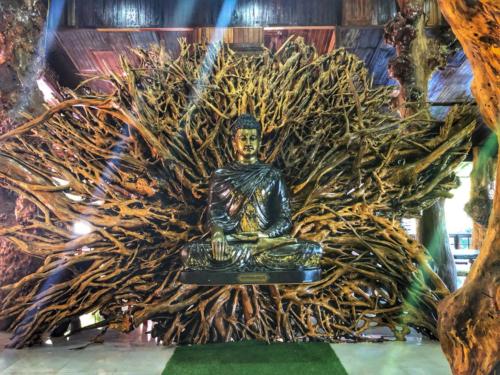 Wat Tham Pha Daen Tree Buddha