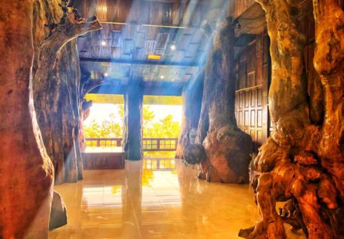 Wat Tham Pha Daen Tree Pillars