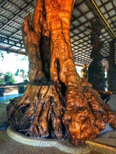 Wat Tham Pha Daen Tree Sculpture