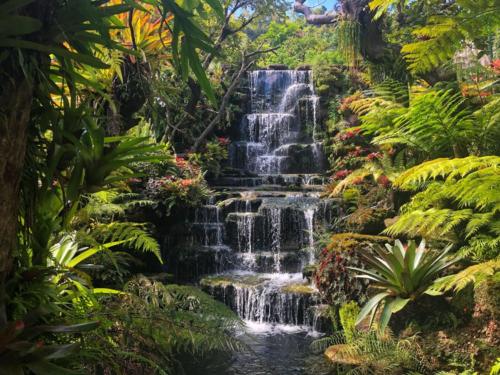 Wat Tham Pha Daen Waterfalls