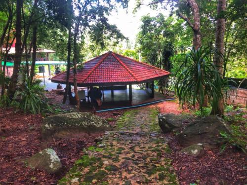 Wat Tham Phu Pha Yon - Sakon Nakhon