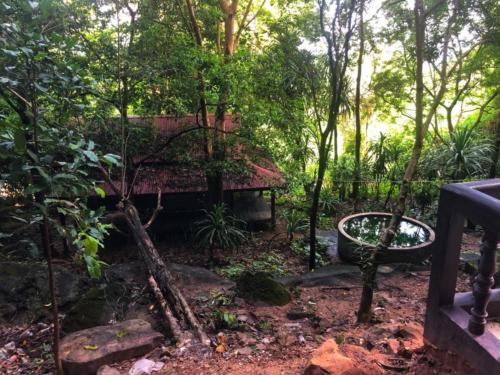 Wat Tham Phu Pha Yon - Sakon Nakhon