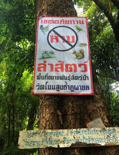 Wat Tham Phu Pha Yon - Sakon Nakhon