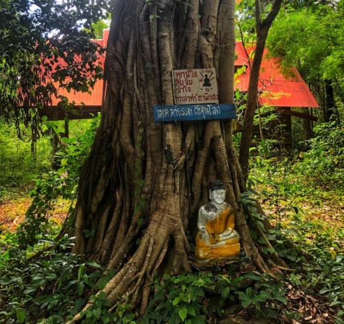 Wat Tham Phu Pha Yon - Sakon Nakhon
