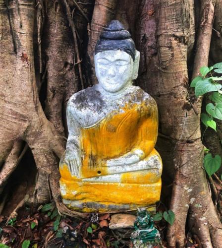 Wat Tham Phu Pha Yon - Sakon Nakhon