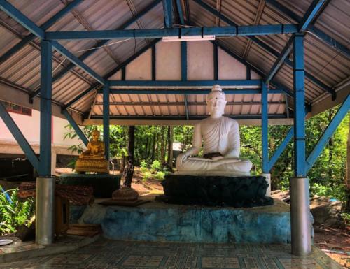 Wat Tham Phu Pha Yon - Sakon Nakhon