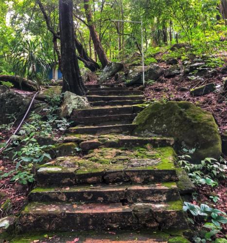 Wat Tham Phu Pha Yon - Sakon Nakhon