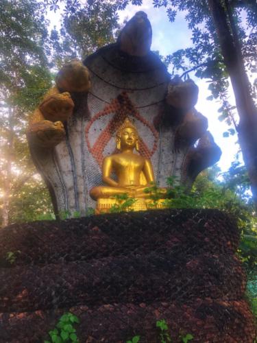 Sakon Nakhon Buddha with Naga