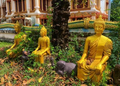 วัดหนองบัวใหญ่