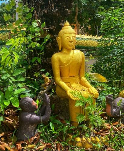วัดหนองบัวใหญ่