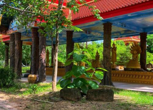 วัดหนองบัวใหญ่
