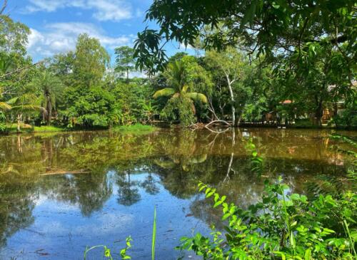 วัดหนองบัวใหญ่