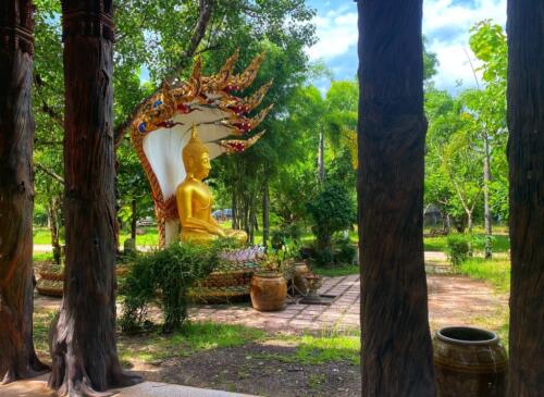 วัดหนองบัวใหญ่