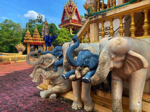 วัดหนองบัวใหญ่